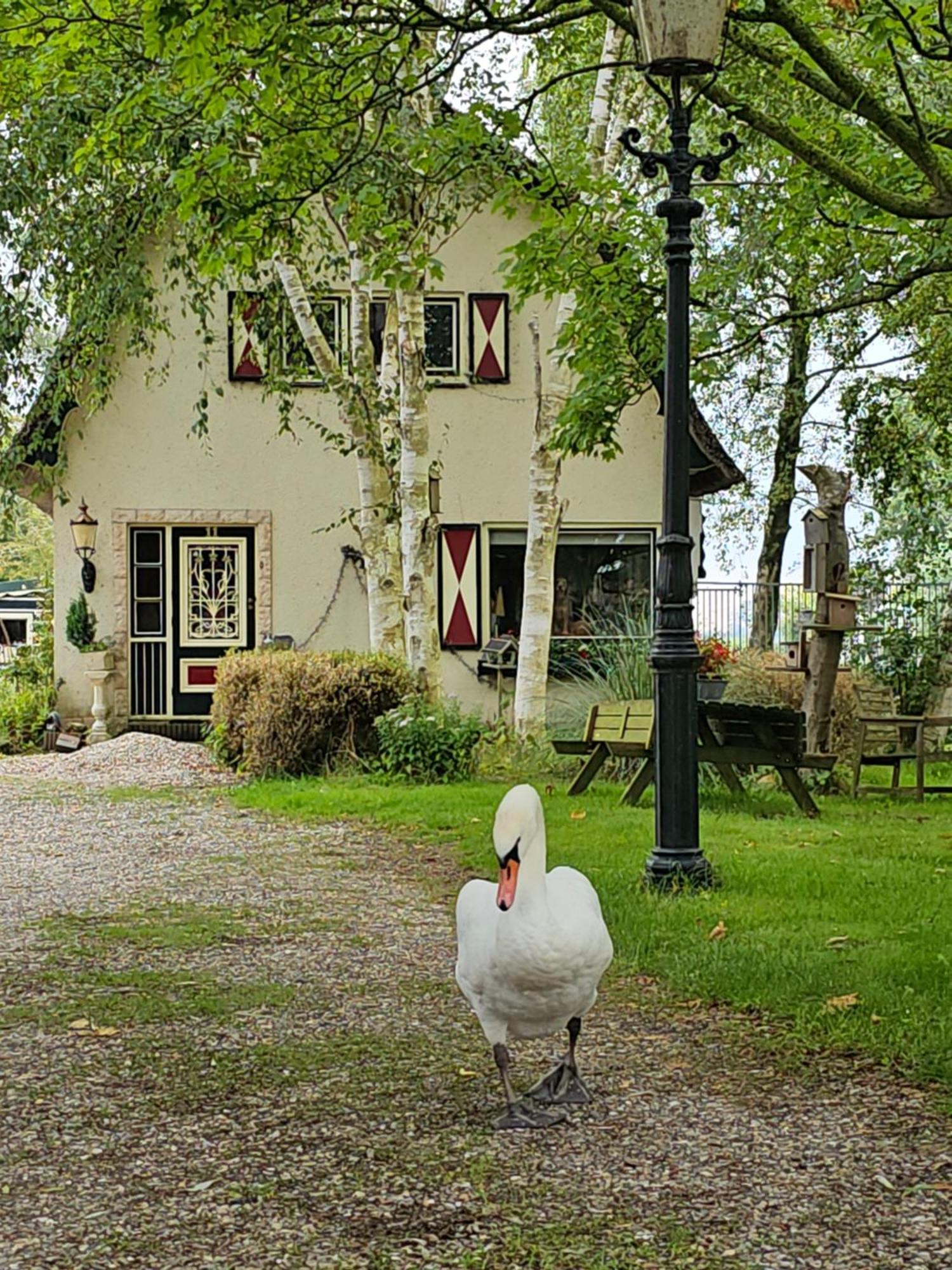 B&B Zusenzomer Oostwoud Eksteriør bilde